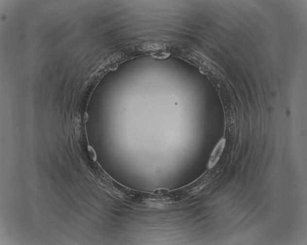 X0000077320556200611101501