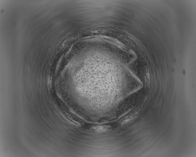 X0000077320558200611101501