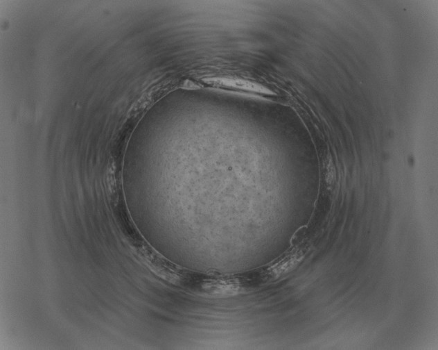 X0000077320559200611101501