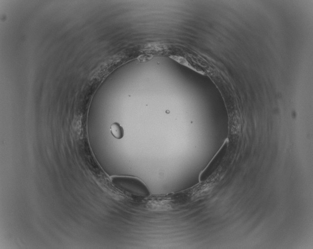 X0000077320560200611101501