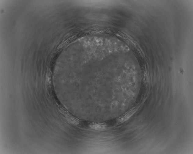 X0000077320561200611101501