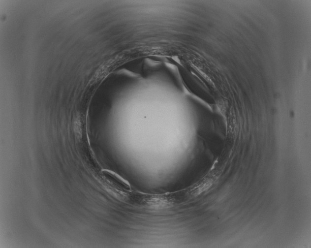 X0000077320562200611101501