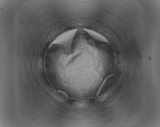 X0000077320563200611101501