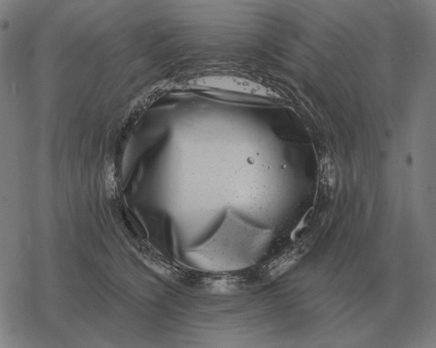 X0000077320564200611101501