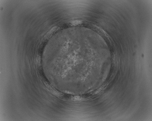 X0000077320565200611101501