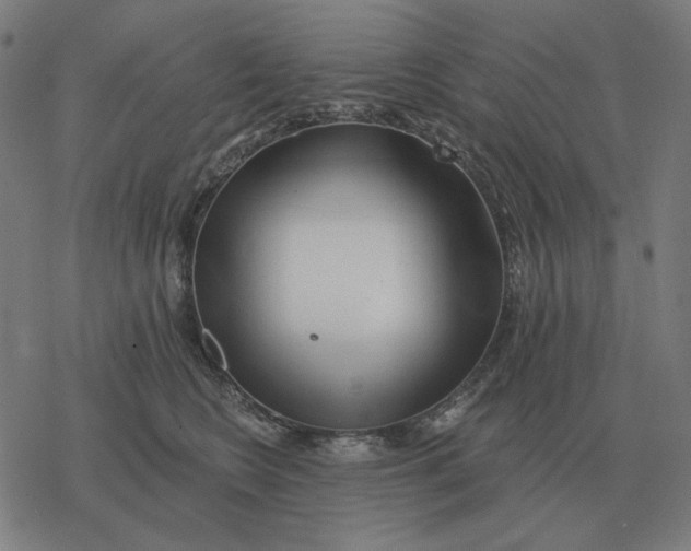 X0000077320566200611101501