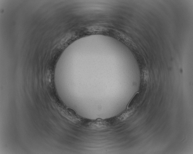 X0000077320567200611101501