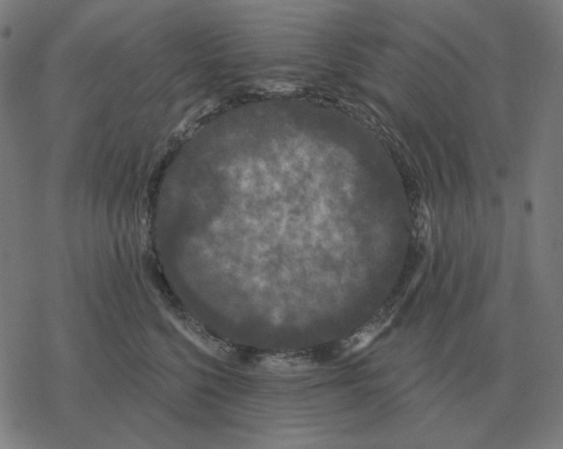 X0000077320568200611101501