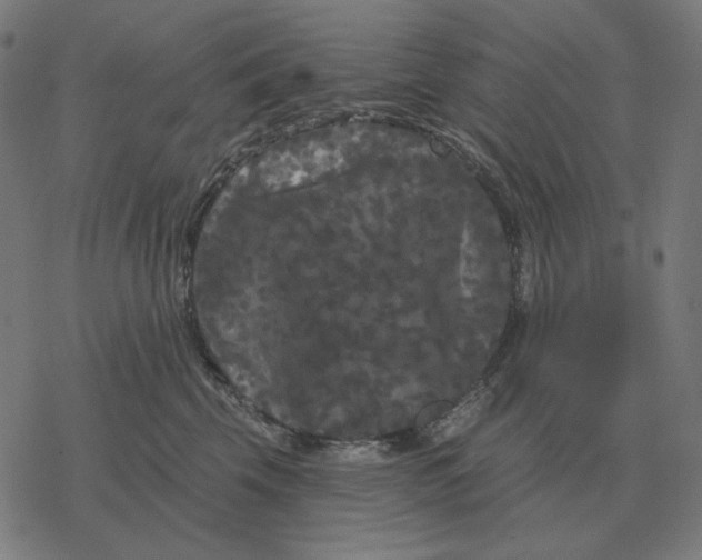 X0000077320569200611101501