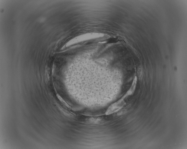 X0000077320570200611101501