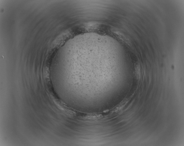 X0000077320571200611101501