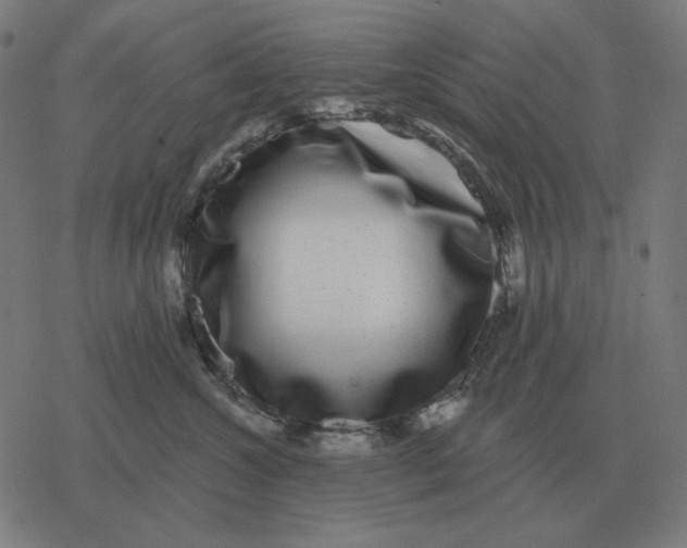 X0000077320572200611101501