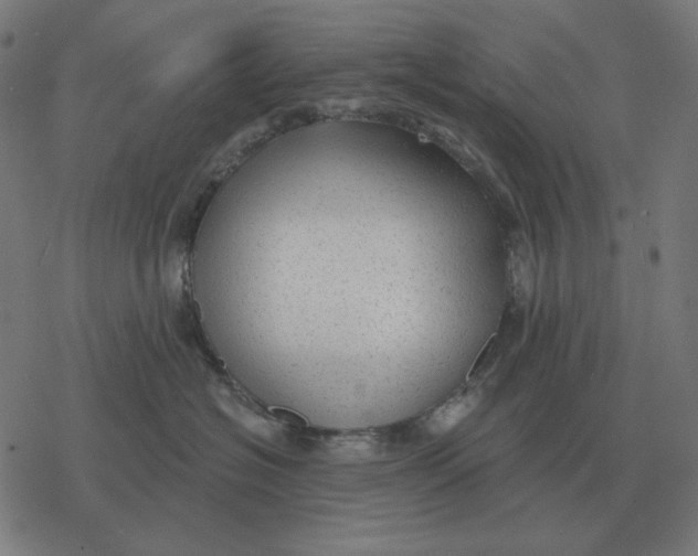 X0000077320574200611101501