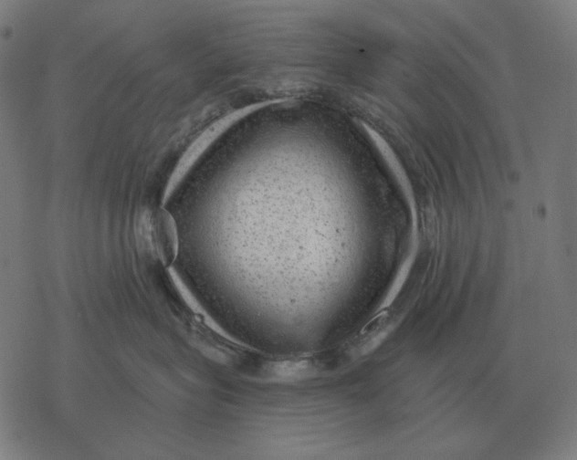 X0000077320575200611101501