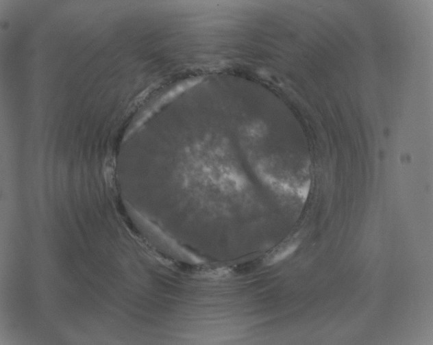 X0000077320576200611101501