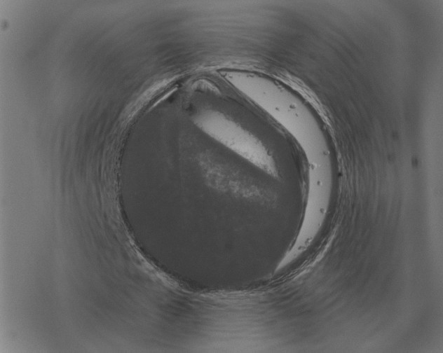 X0000077320577200611101500