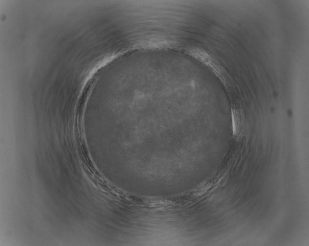 X0000077320579200611101500