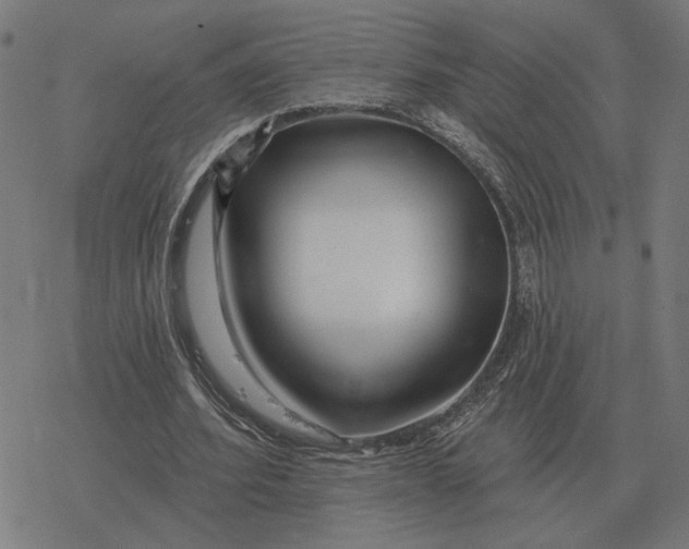 X0000077320580200611101500