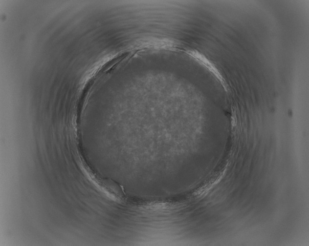 X0000077320581200611101500