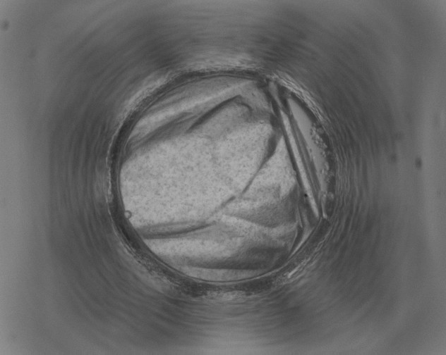 X0000077320582200611101500