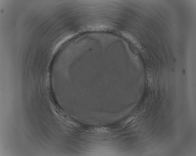 X0000077320583200611101500