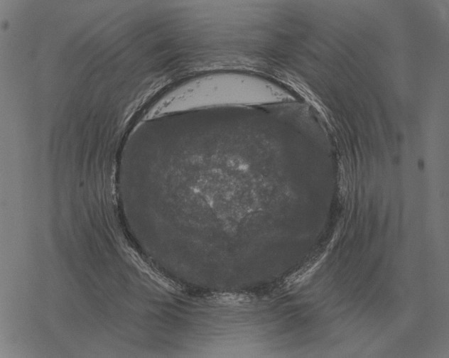 X0000077320585200611101500