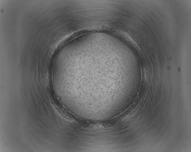 X0000077320588200611101500