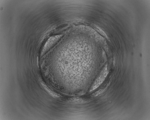 X0000077320589200611101500