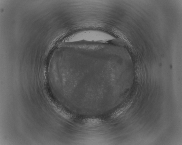 X0000077320590200611101500