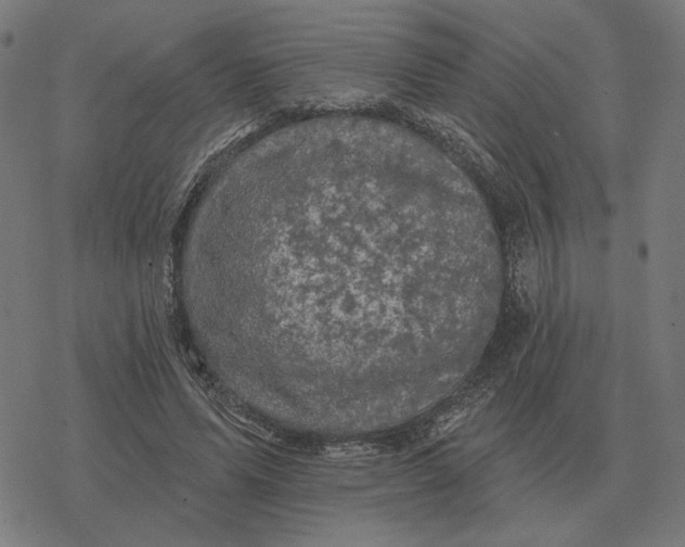 X0000077320591200611101500