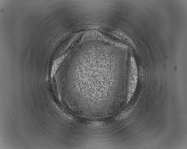 X0000077320593200611101500