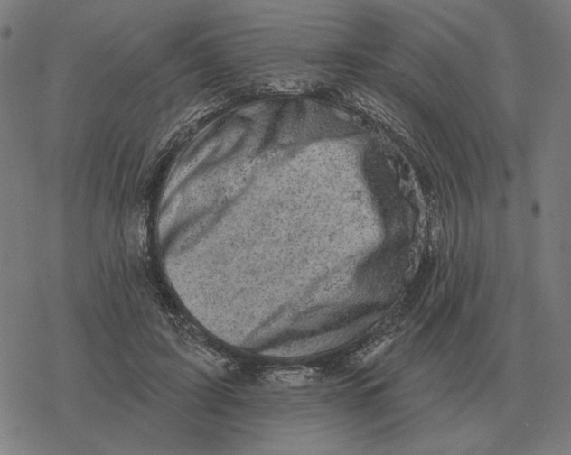 X0000077320595200611101500