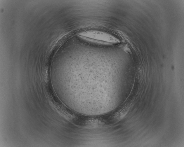 X0000077320596200611101500