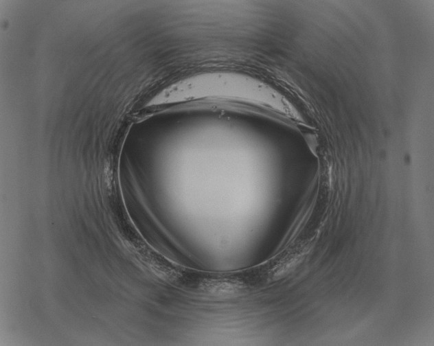 X0000077320597200611101500