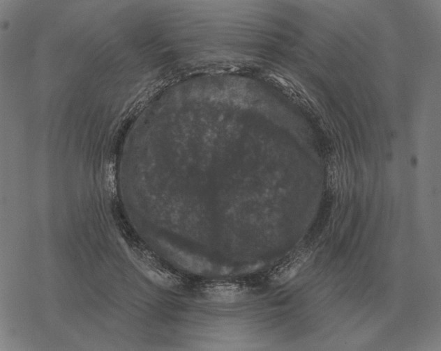 X0000077320598200611101500