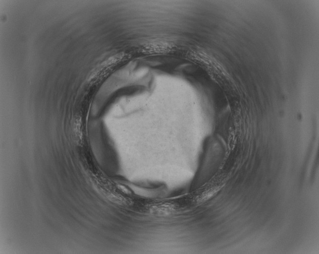 X0000077320599200611101500