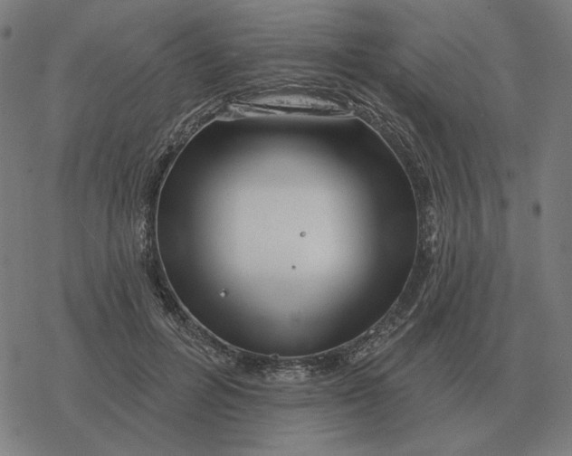 X0000077320600200611101500