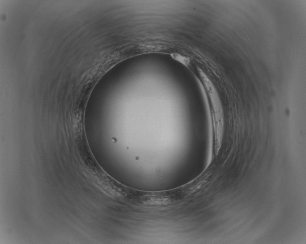 X0000077320601200611101500