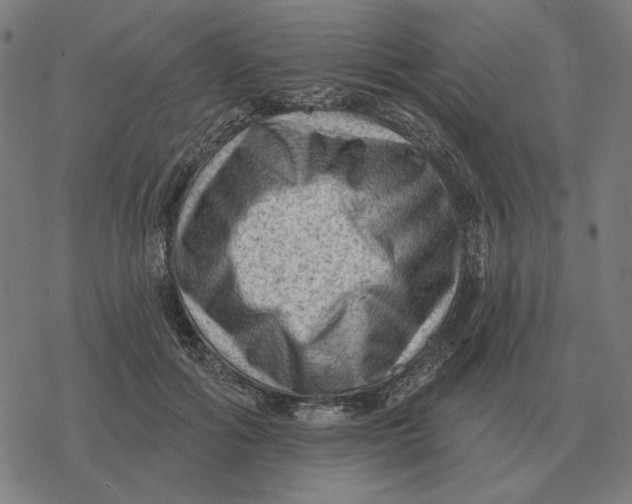 X0000077320602200611101500