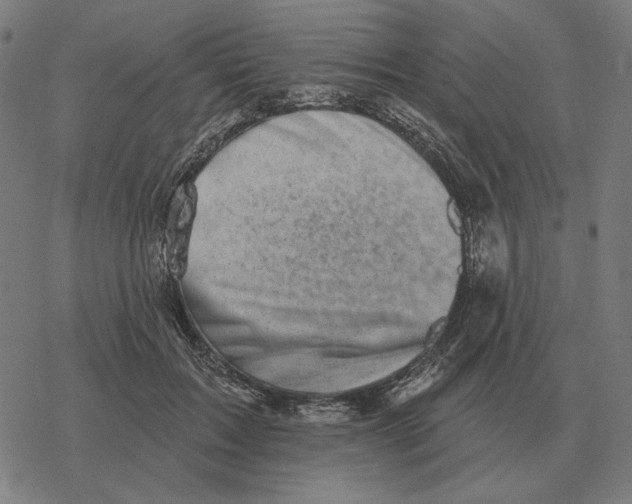 X0000077320603200611101500