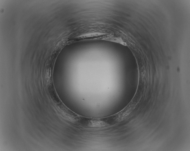 X0000077320605200611101500