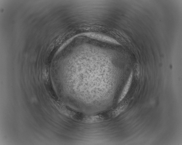 X0000077320607200611101500