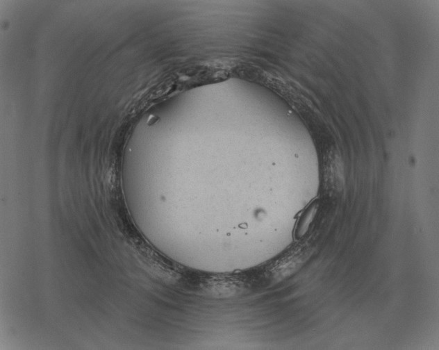 X0000077320608200611101500