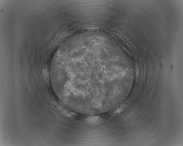 X0000077320609200611101500