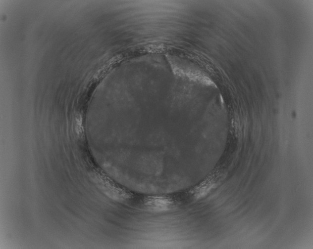 X0000077320610200611101500