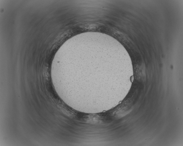 X0000077320612200611101500