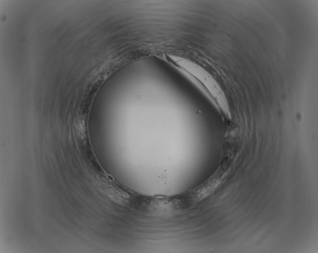 X0000077320613200611101500