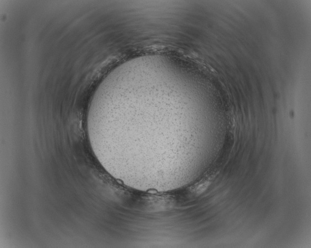 X0000077320615200611101500