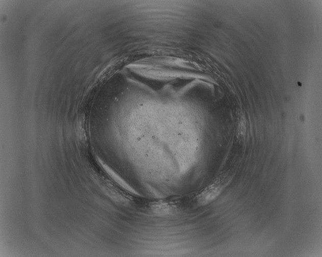 X0000077320616200611101500