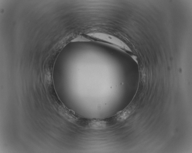 X0000077320617200611101500